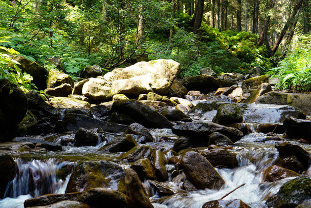 Ruisseau forestier traversant les pierres - Photo, image
