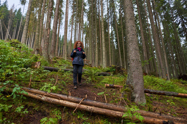 Woman tourist with raincoat and backpack hiking through mountain pine forest in a rainy day - Foto, afbeelding