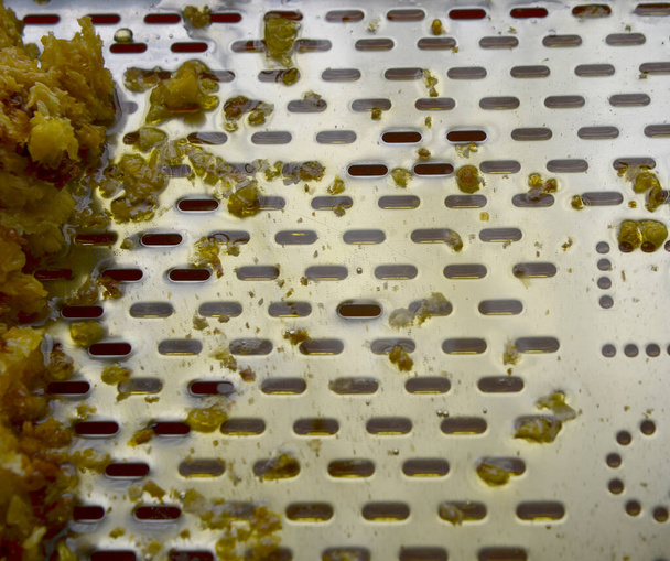 Капля пчелиного меда капает из шестиугольных сот, наполненных золотым нектаром. Соты летняя композиция, состоящая из капли натурального меда, капает на восковую рамку пчелы. Капля пчелиного меда капает в сотах. - Фото, изображение