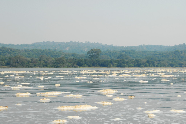 Schaum auf dem Victoria Nil nach den Murchison Falls, Uganda. - Foto, Bild