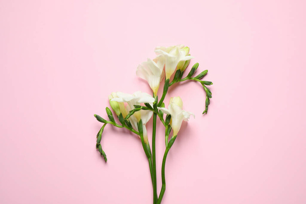 Beautiful freesia flowers on light pink background, top view - Zdjęcie, obraz