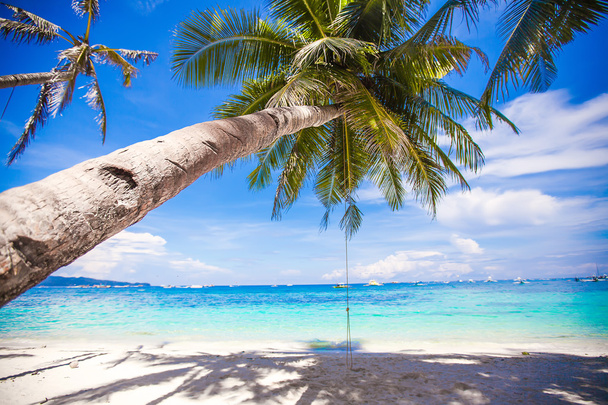 liny huśtawka na duże palmy na piaszczystej plaży - Zdjęcie, obraz