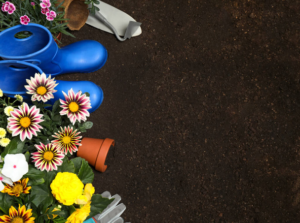 Flat lay composition with gardening tools and flowers on soil, space for text - Foto, immagini