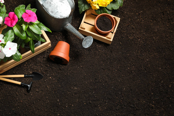 Flat lay composition with gardening tools and flowers on soil, space for text - Fotografie, Obrázek