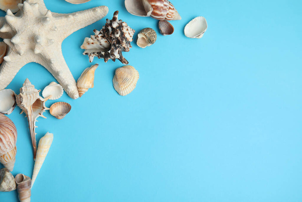Different beautiful sea shells on light blue background, flat lay. Space for text - Foto, afbeelding