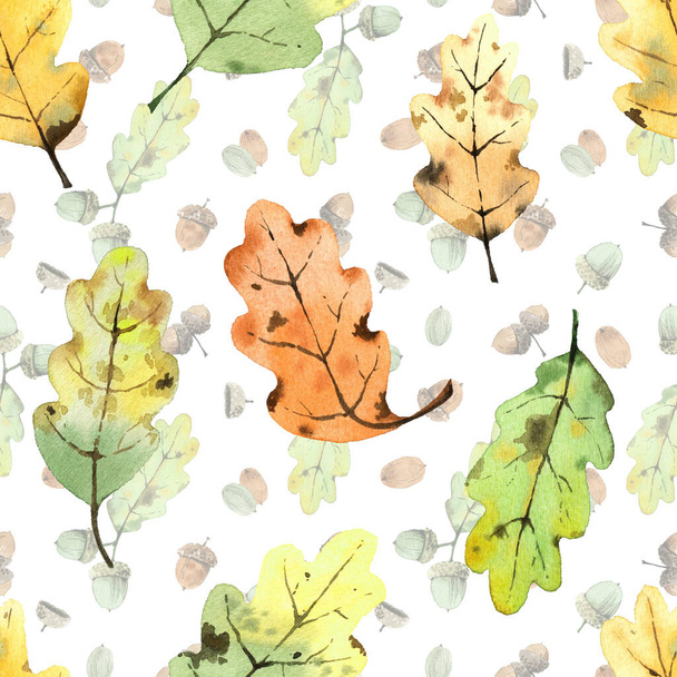 Pattern with watercolor oak leaves and acorns. On a white background - Foto, Bild