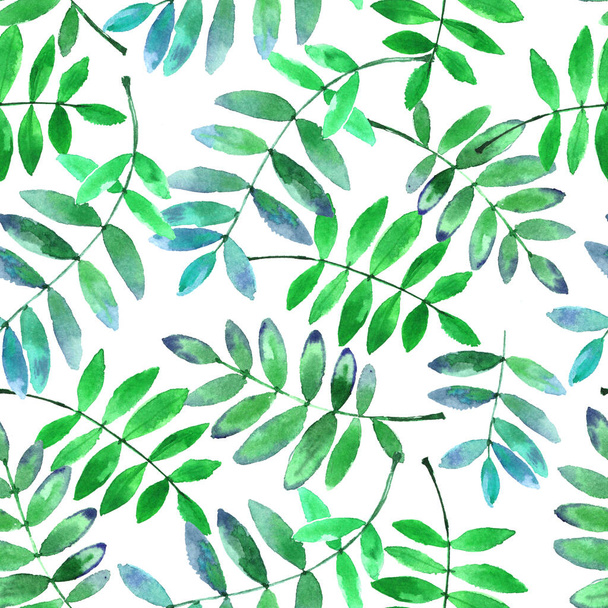 Watercolor pattern with bright green leaves isolated on white background - Photo, image