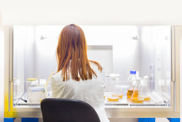 Cientista do sexo feminino que pesquisa no laboratório de desenvolvimento de vacinas do vírus da corona da ciência da vida - Foto, Imagem