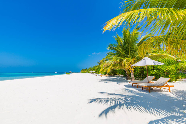 Duas cadeiras de praia na idílica praia tropical de areia branca. Sombra das palmeiras. Conceito para férias, spa, design de resort, viagens de verão, férias - Foto, Imagem