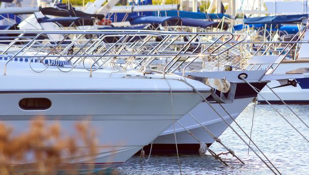 bow of white yachts - Photo, Image