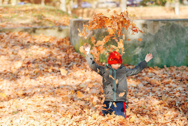 Niño feliz jugando con hojas de otoño en el parque. Humor otoñal. Lindo chico tiene una diversión en las hojas de otoño. Feliz y saludable infancia. Día soleado de otoño. Chico lanzando hojas de arce caído. - Foto, imagen