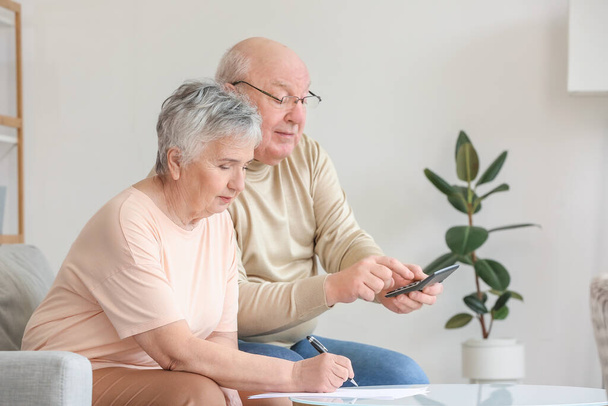 Senior couple calculating expenses at home - Photo, Image