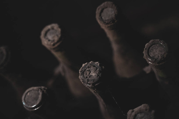 Eski şarap şişelerinin yakın plan görüntüsü yumuşak siyah küf ve şarap mahzeninde örümcek ağıyla kaplı antik koleksiyon - Fotoğraf, Görsel