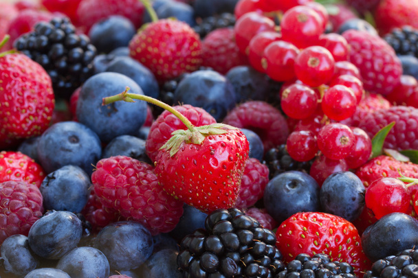 Bluberry, raspberry, blackberry and red currrant - Zdjęcie, obraz