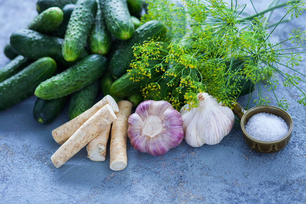 uborka torma kaporral és fokhagymával - gyümölcs és zöldség - Fotó, kép