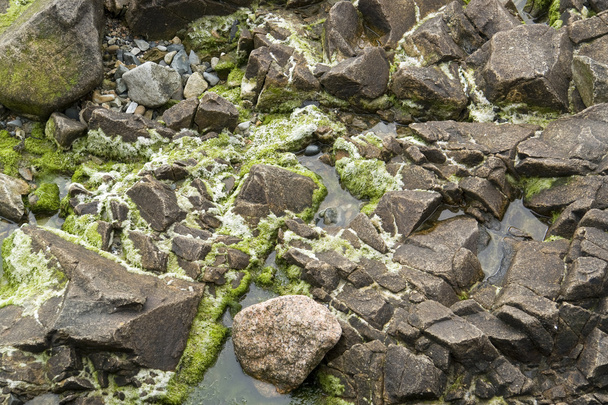 ペロス-ギレックの周りの岩の詳細 - 写真・画像