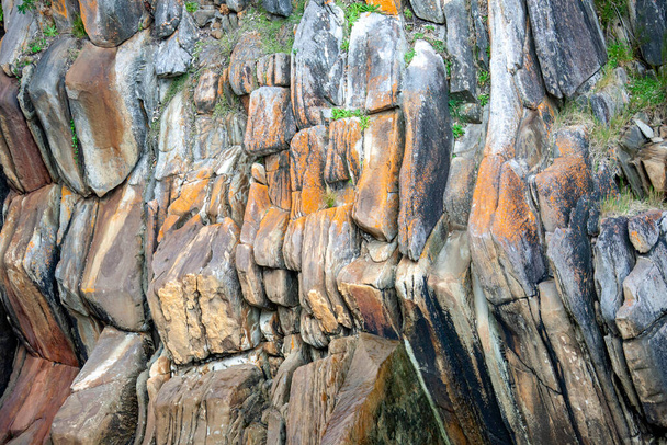 Paroi rocheuse colorée avec végétation et lichens dans le parc Tsitsikama. Texture de lichens multicolores et de roches dans la zone de forêt tropicale d'un parc national en Afrique du Sud. - Photo, image