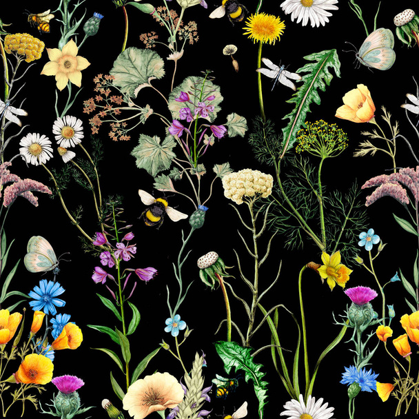Patrón sin costura de flores de jardín dibujadas a mano, plantas e insectos - Foto, imagen