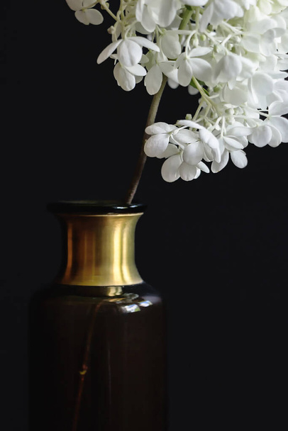 黒を基調とした花瓶の白い紫陽花の花束  - 写真・画像
