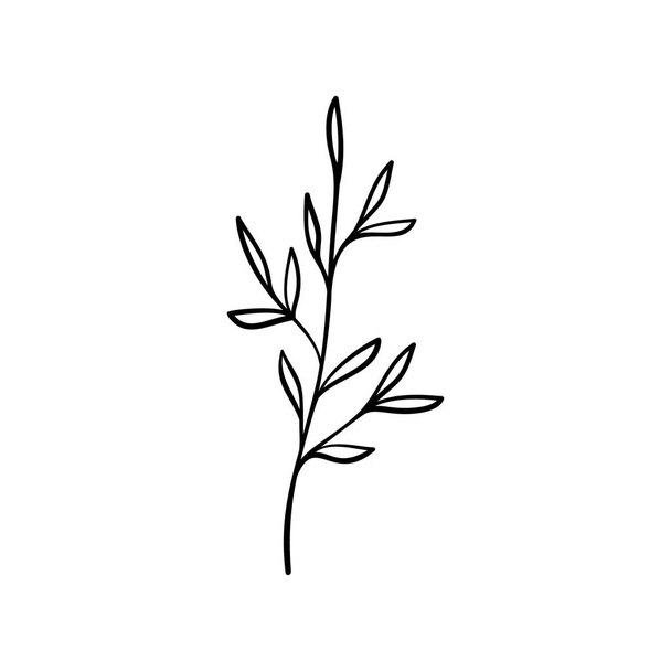 Brindille de contour noire avec feuilles isolées sur blanc. Illustration vectorielle dessinée main.  - Vecteur, image