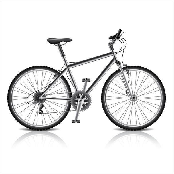 Mountain bike isolated on white vector - Vector, Image