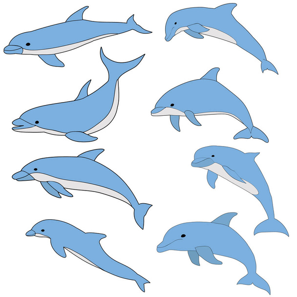 вектор, изолированный, синий дельфин плавает набор - Вектор,изображение