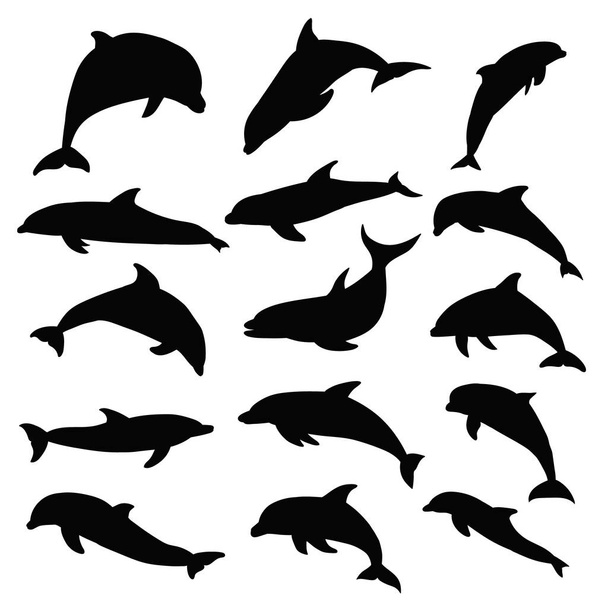 vector, geïsoleerd, dolfijnensilhouet, ingesteld - Vector, afbeelding