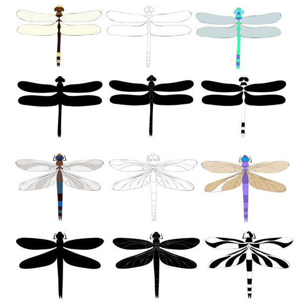 vettore, isolato, insetto libellula, insieme, con la silhouette di libellule - Vettoriali, immagini