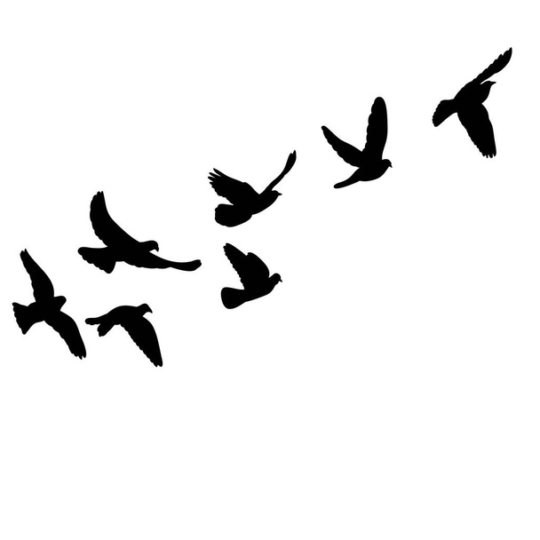 isolated set of flying birds silhouettes - Vector, Image