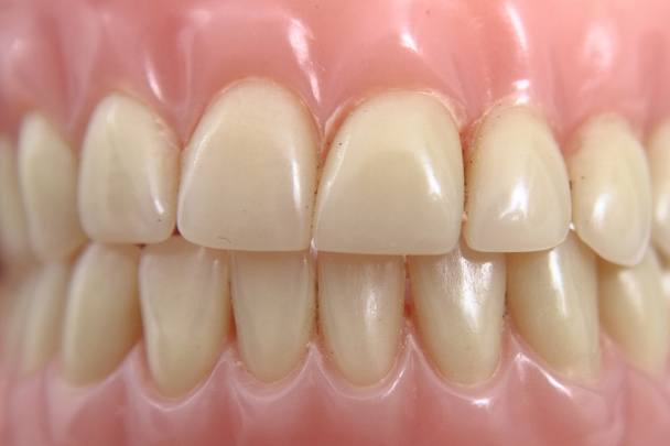 teeth prosthesis background - Photo, Image