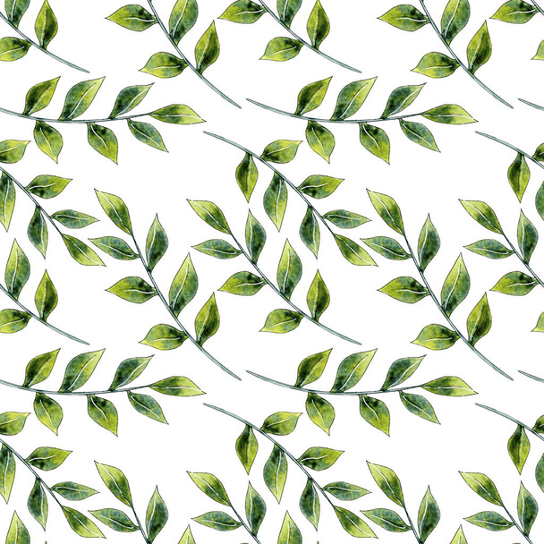 Watercolor green leaves pattern, botanical background, seamless digital paper. - Foto, imagen