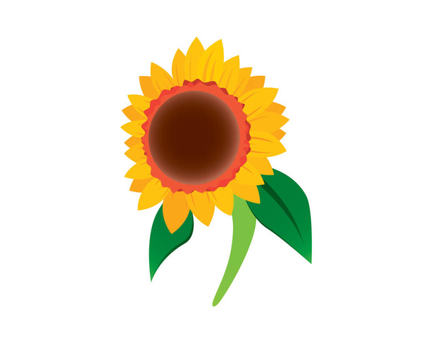 Sunflower Illustration as Flora Entity Vector - Vektor, obrázek