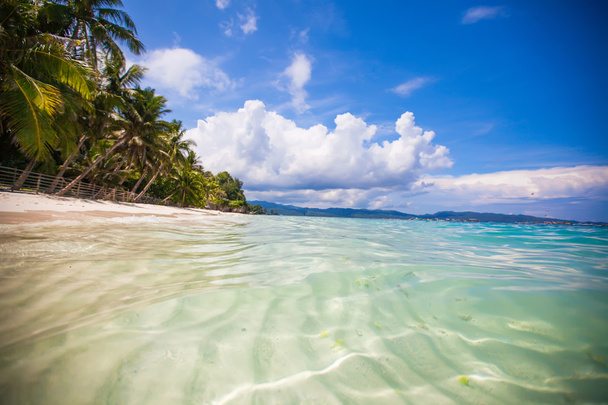 panoramiczny widok na plaży z zielonych Palm, białym piaskiem i turkusową wodą - Zdjęcie, obraz