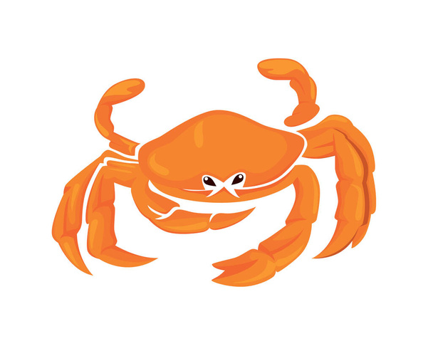 Detaillierte Bright Crab Illustration Vektor - Vektor, Bild