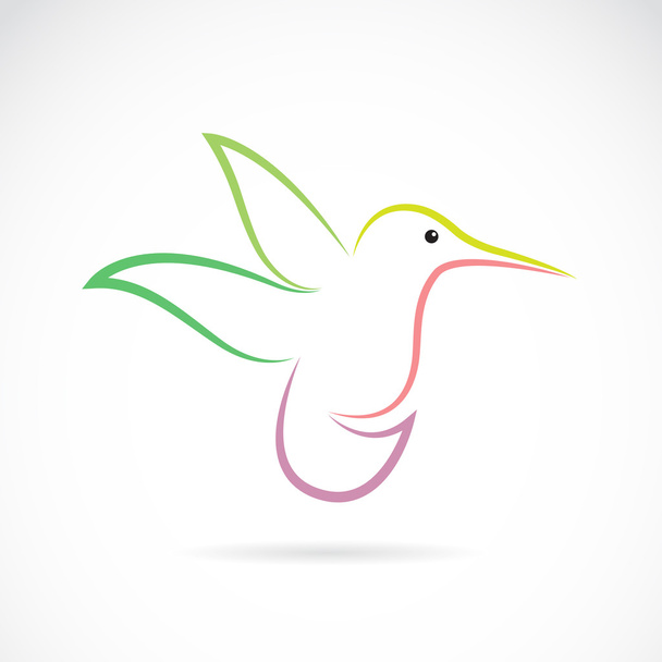 Векторное изображение колибри
 - Вектор,изображение
