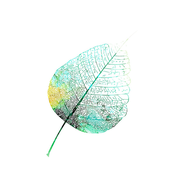 Πολύχρωμο φθινοπωρινό φύλλο. Εικονογράφηση διανύσματος - Διάνυσμα, εικόνα