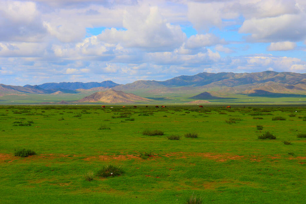 Moğolistan bozkırları, sonsuz otlakların güzel bulutların altında, mavi sinsi bir şekilde. - Fotoğraf, Görsel