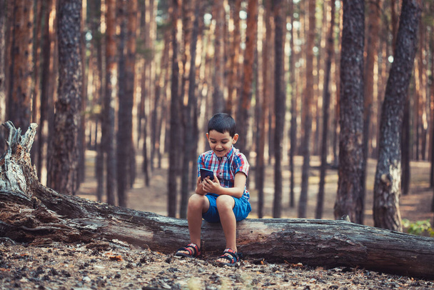 little boy in a picturesque pine forest playing with a smartphone - Zdjęcie, obraz