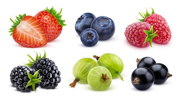 白い背景に隔離された森の果実:イチゴ、ブラックベリー、ラズベリー、スグリ - 写真・画像