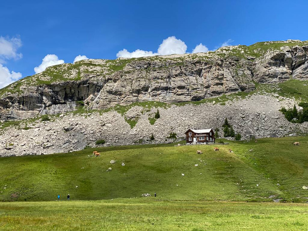 Arquitetura rural tradicional e fazendas pecuárias familiares do maciço montanhoso dos Alpes Uri, Melchtal - Cantão de Obwald, Suíça (Kanton Obwalden, Schweiz) - Foto, Imagem