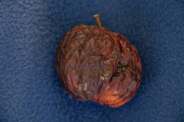 rotte rode appel ligt op een blauwe achtergrond close-up, rotte appel - Foto, afbeelding
