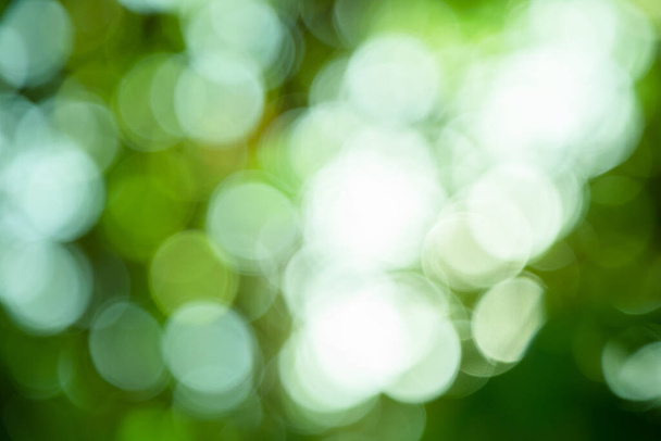 Весняний боке природа абстрактний фон Зелене листя розмиті, красиві навесні або влітку
. - Фото, зображення