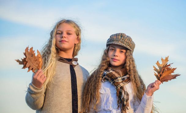 So beautiful. hairdresser salon concept. small girls with curly hair. children friends autumn leaf. stylish sisters in fall beret. autumn trends. kid fashion look. clear sky weather. happy childhood - Foto, Imagen