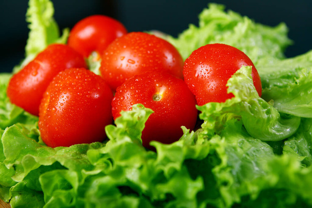 Fresh and wet tomatoes lying on the salad leaves - Valokuva, kuva