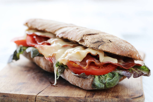 Delicious, long sandwich with cheese - Photo, Image