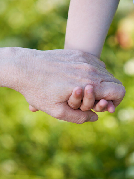 Close up of hands of grandson and grandmother  - Photo, Image