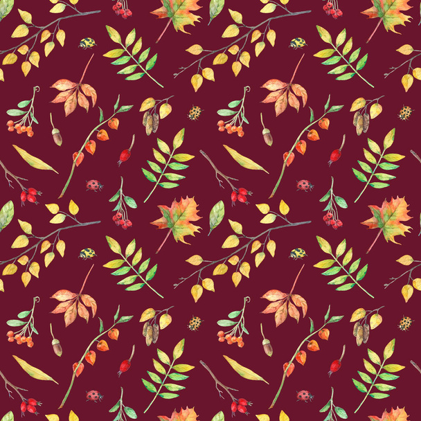 Watercolor seamless pattern with autumn elements. - 写真・画像
