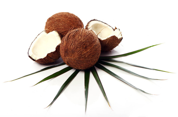 Close up of Fresh coconuts on white background - Photo, Image