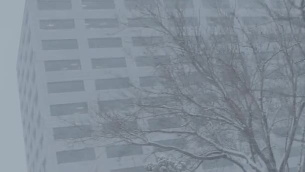 Talvi lumimyrsky kaupungin keskustassa - Materiaali, video