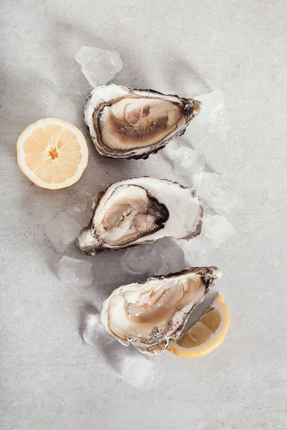 Seafood. Delicious oyster with lemon - Foto, Imagem